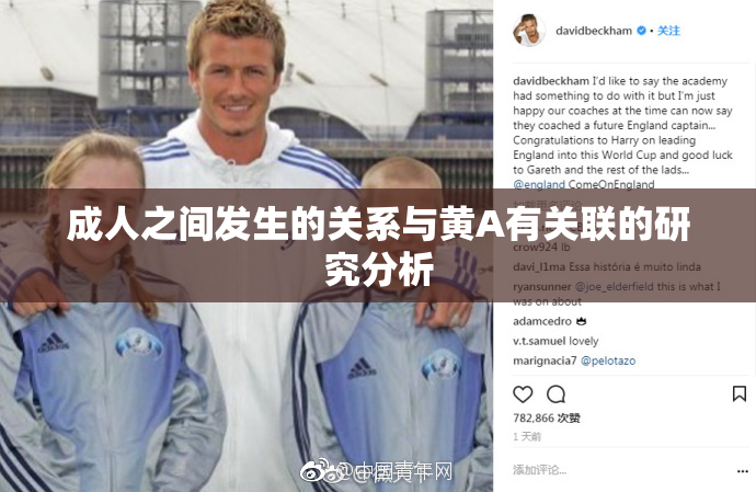 成人之间发生的关系与黄A有关联的研究分析