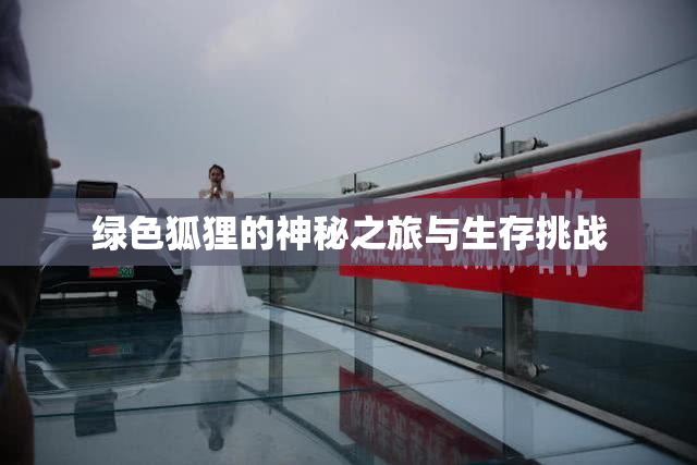 绿色狐狸的神秘之旅与生存挑战