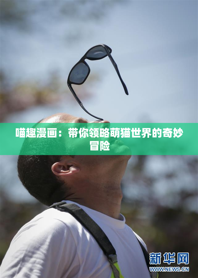 喵趣漫画：带你领略萌猫世界的奇妙冒险