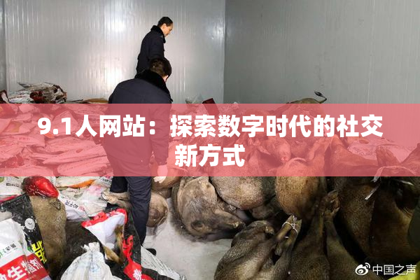 9.1人网站：探索数字时代的社交新方式
