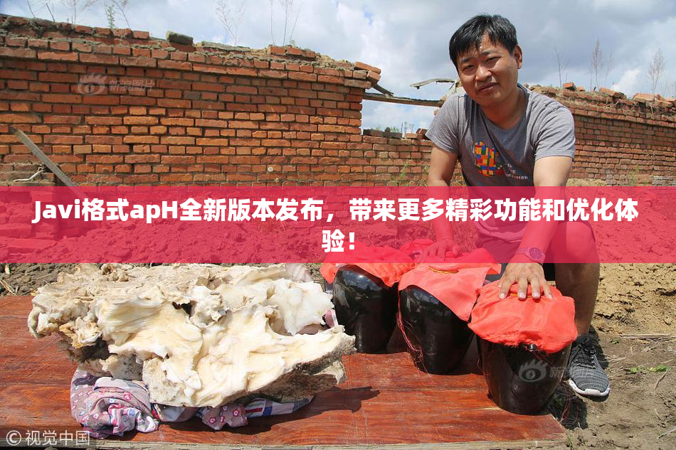Javi格式apH全新版本发布，带来更多精彩功能和优化体验！