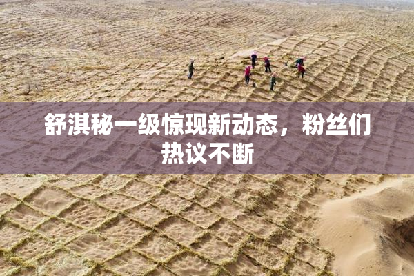 舒淇秘一级惊现新动态，粉丝们热议不断
