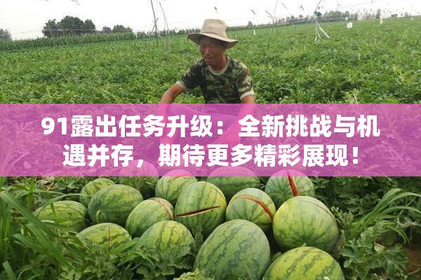 91露出任务升级：全新挑战与机遇并存，期待更多精彩展现！