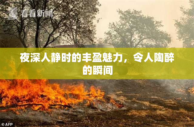 夜深人静时的丰盈魅力，令人陶醉的瞬间