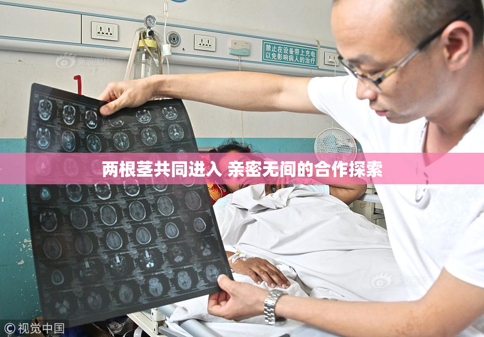 两根茎共同进入 亲密无间的合作探索