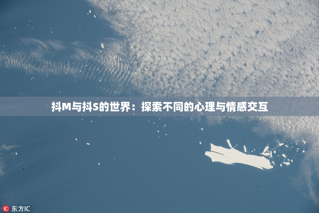 抖M与抖S的世界：探索不同的心理与情感交互