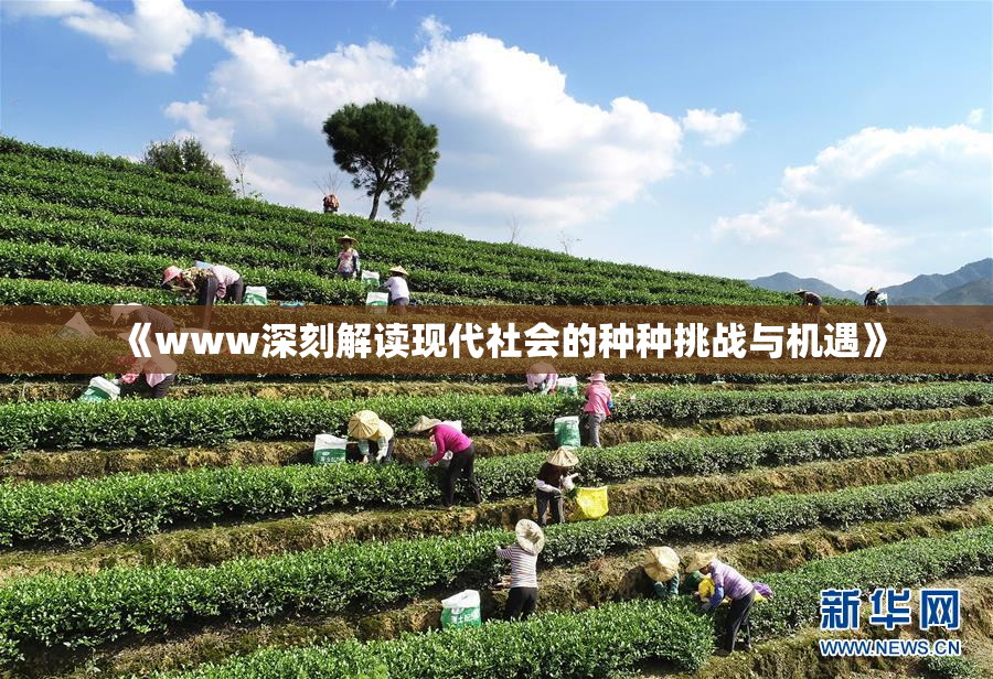 《www深刻解读现代社会的种种挑战与机遇》