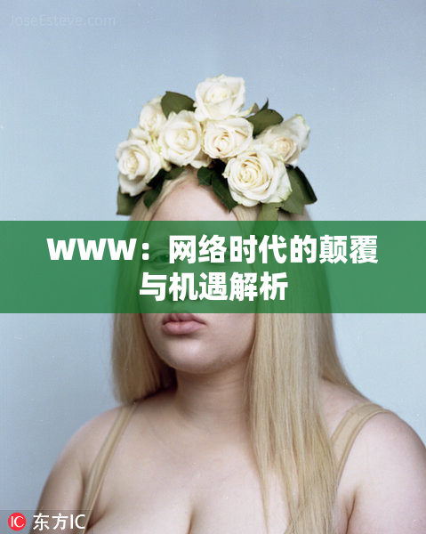 WWW：网络时代的颠覆与机遇解析