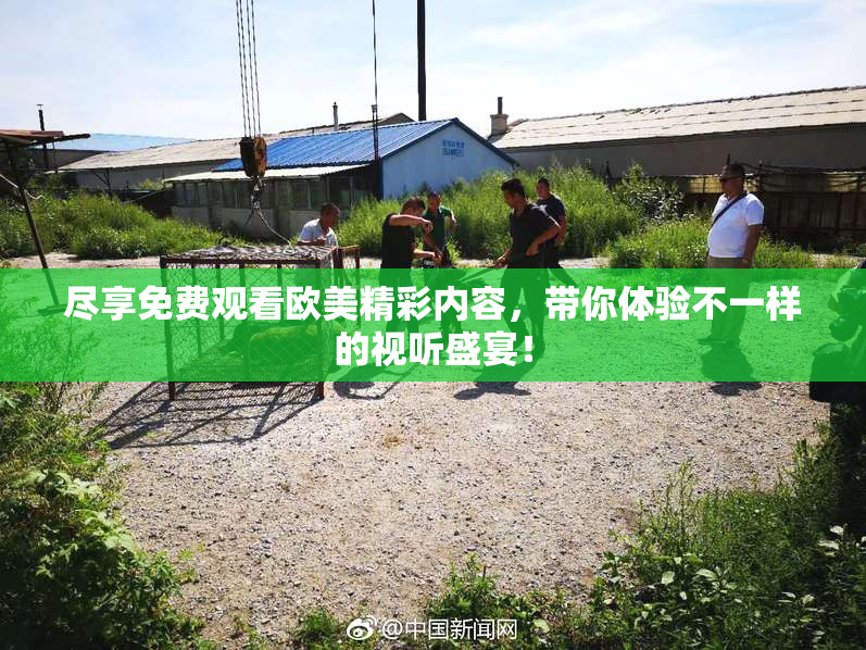 尽享免费观看欧美精彩内容，带你体验不一样的视听盛宴！