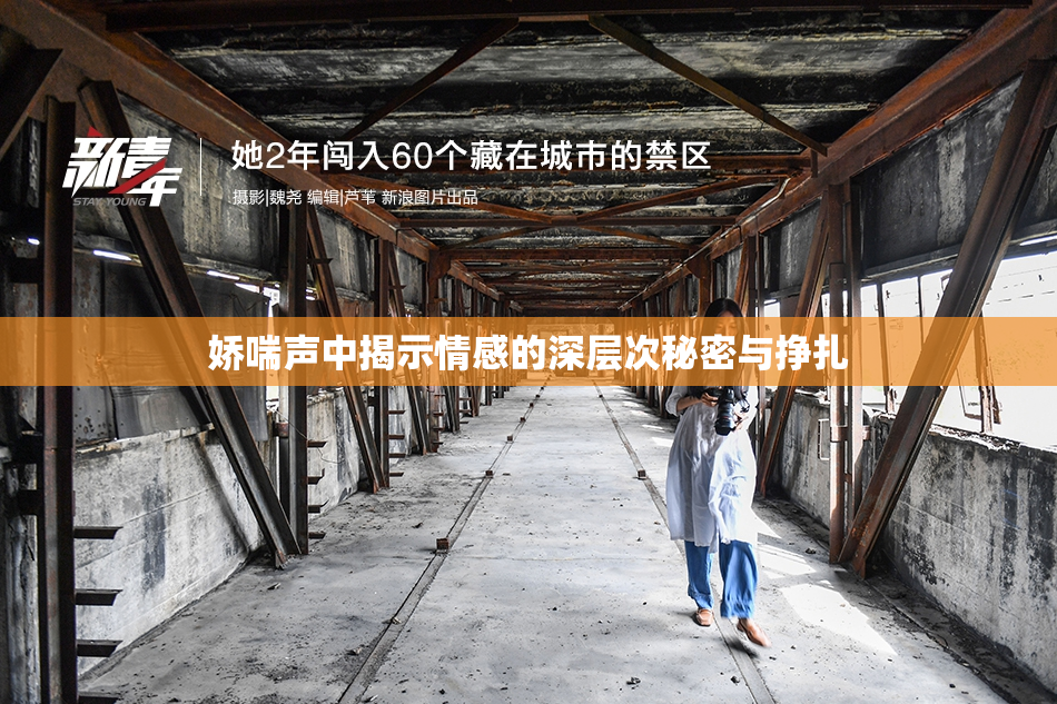 娇喘声中揭示情感的深层次秘密与挣扎