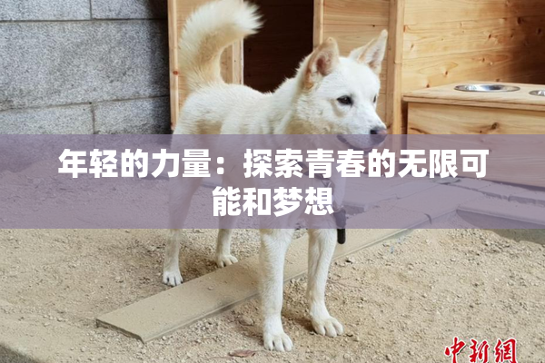 年轻的力量：探索青春的无限可能和梦想