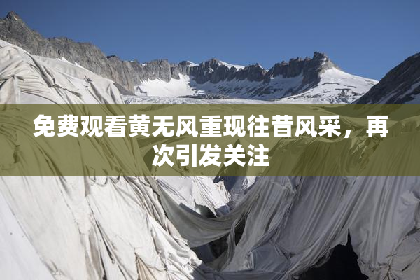 免费观看黄无风重现往昔风采，再次引发关注