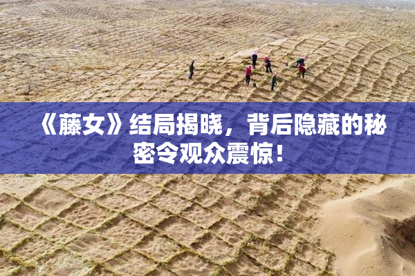 《藤女》结局揭晓，背后隐藏的秘密令观众震惊！