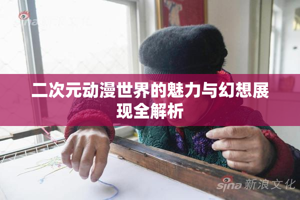 二次元动漫世界的魅力与幻想展现全解析