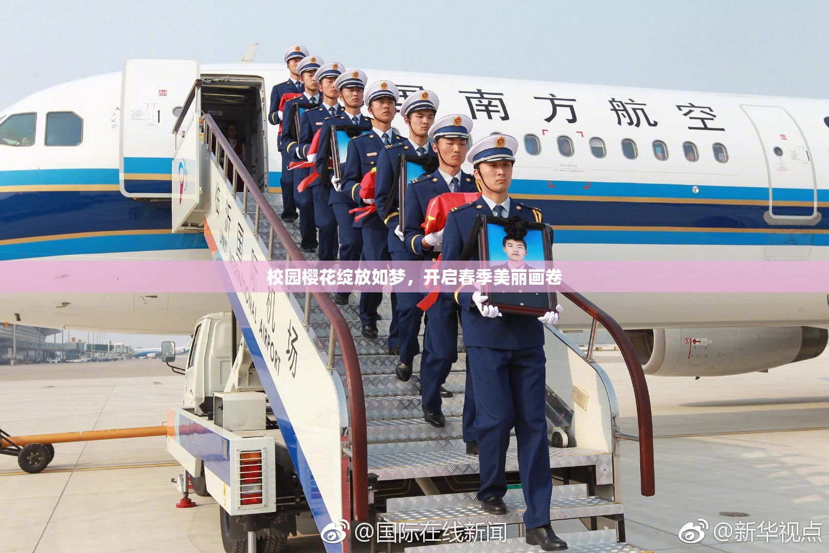 校园樱花绽放如梦，开启春季美丽画卷