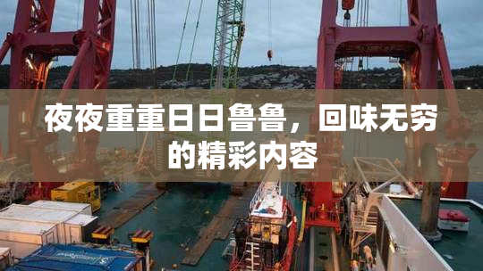 夜夜重重日日鲁鲁，回味无穷的精彩内容