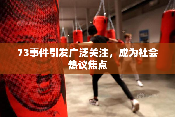 73事件引发广泛关注，成为社会热议焦点