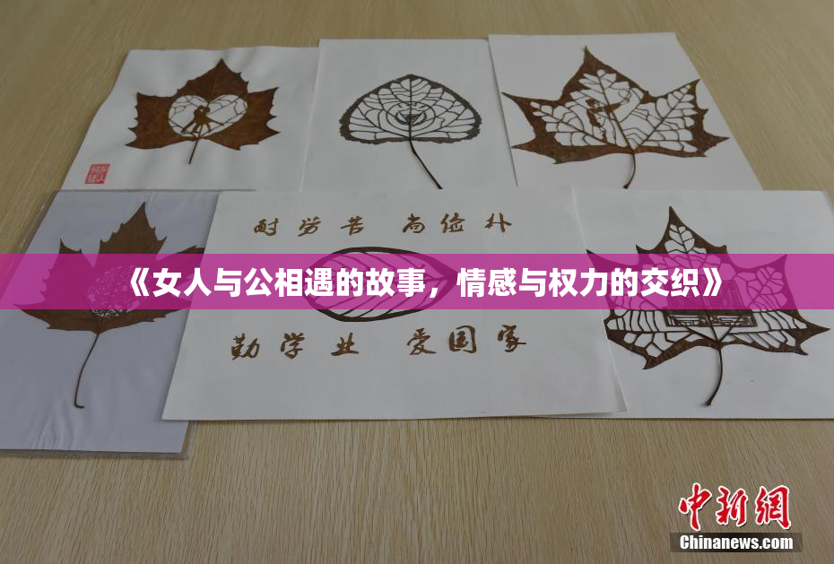 《女人与公相遇的故事，情感与权力的交织》