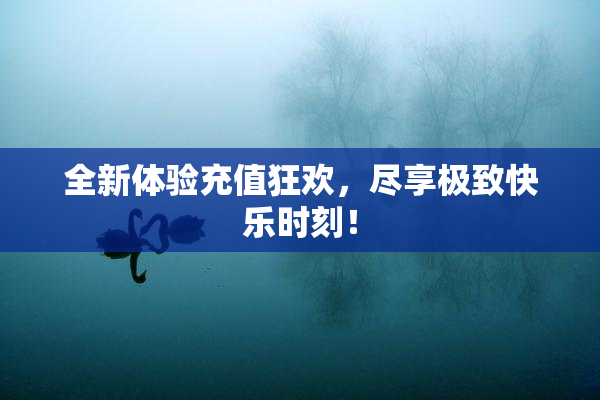 全新体验充值狂欢，尽享极致快乐时刻！