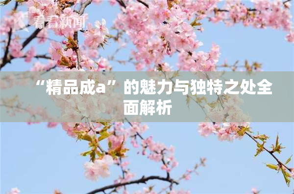 “精品成a”的魅力与独特之处全面解析