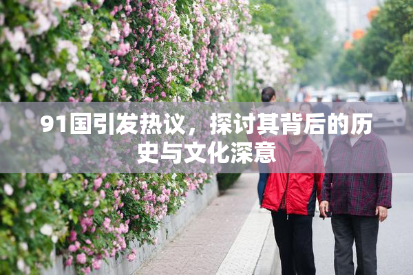 91国引发热议，探讨其背后的历史与文化深意