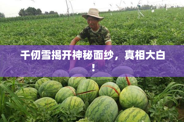 千仞雪揭开神秘面纱，真相大白！
